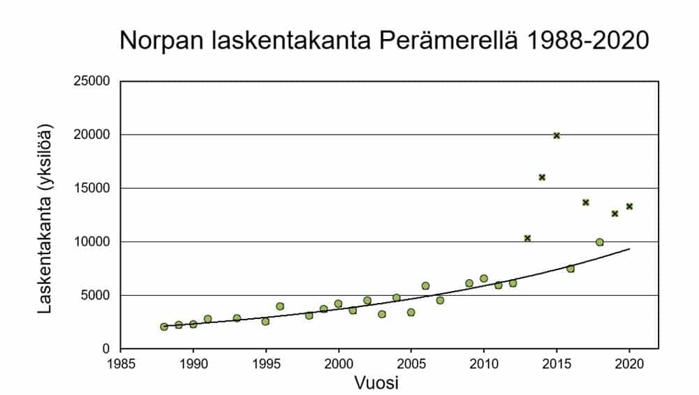Norpan laskentakanta Perämerellä, kuvaaja