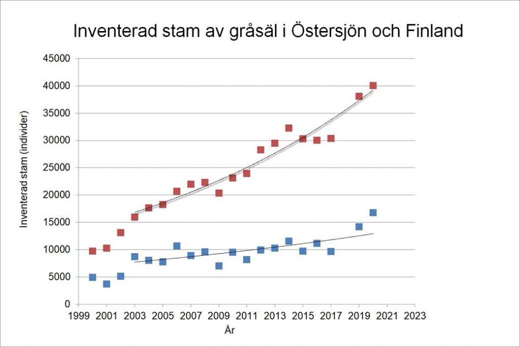Inventerad stam av gråsäl i Östersjön och Finland