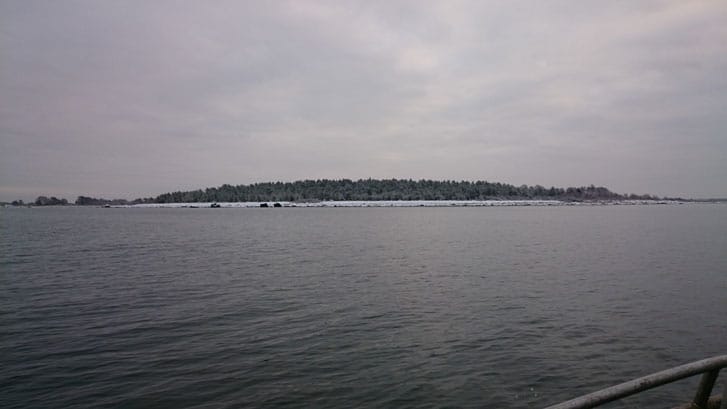 siloneulojaDSC 0102