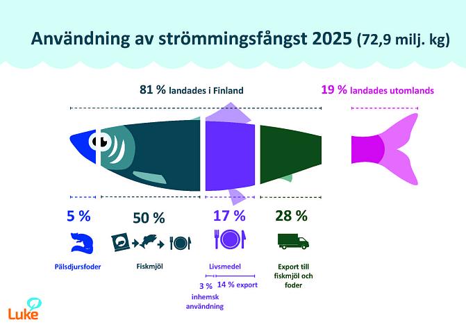 Diagrammet visar uppgifter om användningen av strömmingsfångsten utifrån förstahandsuppköparnas anmälningar, företagsintervjuer och utrikeshandelsstatistiken. Av fångsten landades 81 procent i Finland och 19 procent utomlands. Av den fångst som landades i Finland användes 5 % som pälsdjursfoder, 50 % för fiskmjöl, 17 % som livsmedel i Finland eller utomlands och 28 % exporterades för användning som foder eller råvara för fiskmjöl. Endast 3 procent av den strömming som landats i Finland användes som livsmede